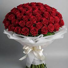 Букет 101 Красная роза Блэк Мэджик #REPLACE_PRED# Красном