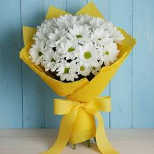 Букет цветов из:  Хризантемы в Красном