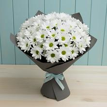 Букет цветов из:  Хризантемы в Красном