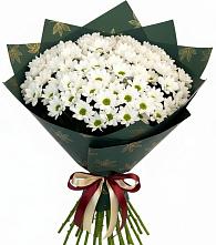 Букет цветов из:  Хризантемы в Красном