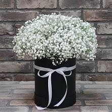 Цветочная композиция из Гипсофила в шляпной коробке #REPLACE_PRED# Красном