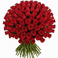 Букет Красные розы Чери Лав #REPLACE_PRED# Красном