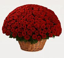 Премиум букет из: Розы в Красном