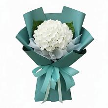 Букет цветов из:  Гортензия #REPLACE_PRED# Красном